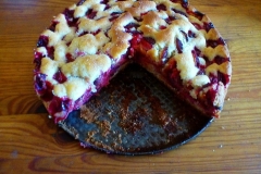 Plum cake with plums from the farm