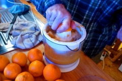 Fresh homemade orange juice