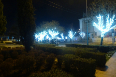 Weihnachten in Castelo Branco