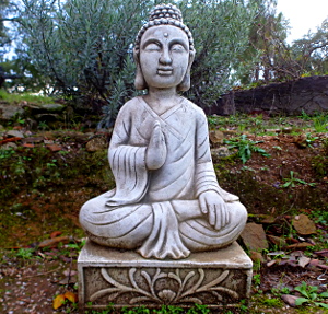 Yoga Meditation Retreat